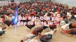 hướng dẫn sử dụng gà đã gáy le té le sáng rồi ai ơi