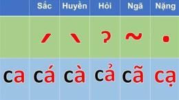 hướng dẫn sử dụng ga da nang nam o dau
