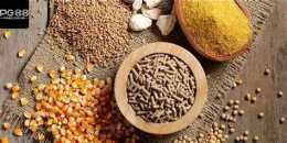 hướng dẫn sử dụng ga da peru