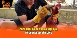 hướng dẫn sử dụng ga da thomo sv579.cc