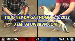 hướng dẫn sử dụng gà đá trực tiếp bữa nay