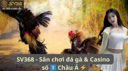 hướng dẫn sử dụng gà đá trực tiếp casino
