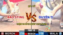 hướng dẫn sử dụng gà duyên ti đá vs bảo sting