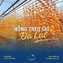 hướng dẫn sử dụng ga hồng lạc đà lạt