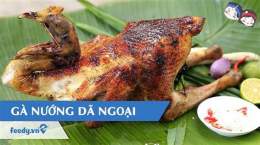 hướng dẫn sử dụng gà nướng dã ngoại