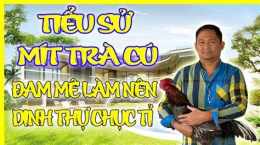 hướng dẫn sử dụng gà phúc bình dương đá với mít trà cú