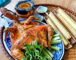 hướng dẫn sử dụng gà thảo nguyên đà lạt