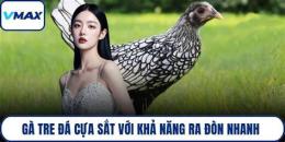 hướng dẫn sử dụng ga tre da cua dao