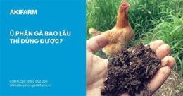 hướng dẫn sử dụng gà tre nuôi bao lâu thì đá được
