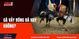 hướng dẫn sử dụng ga vay rong da co hay khong