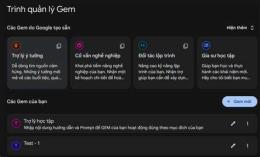 hướng dẫn sử dụng gem da ga