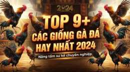 hướng dẫn sử dụng giong ga da hay nhat https:7789bet.top