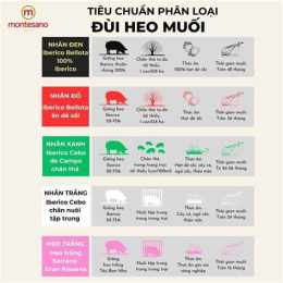 hướng dẫn sử dụng heo da ga