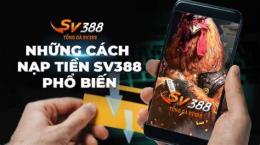 hướng dẫn sử dụng hướng dẫn chơi đá gà tại sv388