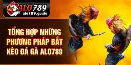 hướng dẫn sử dụng kèo đá gà 789