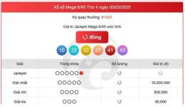 hướng dẫn sử dụng kết quả vietlott mega 6/45 gần đây