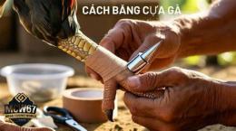 hướng dẫn sử dụng kỹ thuật trong cựa gà đá