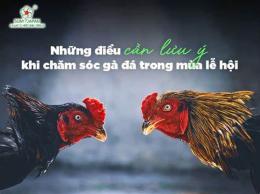 hướng dẫn sử dụng mua ga da cho tot binh duong