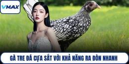 hướng dẫn sử dụng mua ga tre da cua sat
