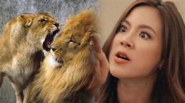 hướng dẫn sử dụng mỹ nữ đanh đá gả cho đoàn trưởng cực phẩm