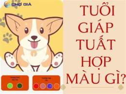 hướng dẫn sử dụng ngay giap tuat da ga mau gi