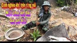 hướng dẫn sử dụng ở nơi chó ăn đá gà ăn sỏi