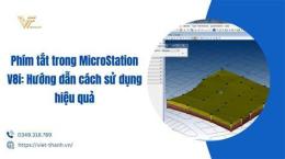 hướng dẫn sử dụng phim đầu gấu học nhóm