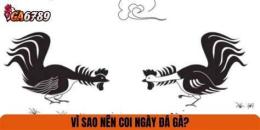 hướng dẫn sử dụng sách coi ngày gà đá