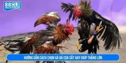 hướng dẫn sử dụng sach ga da cua sat