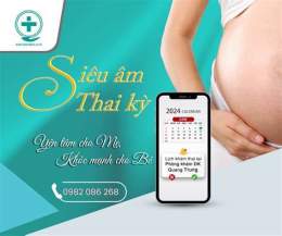 hướng dẫn sử dụng siêu âm đo độ mờ da gáy thai 12 tuần