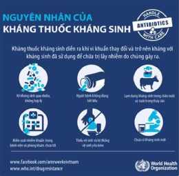 hướng dẫn sử dụng sinh mổ có được ăn da gà không