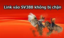 hướng dẫn sử dụng sv 388 link đá gà thomo