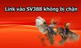 hướng dẫn sử dụng : sv388 link đá gà thomo