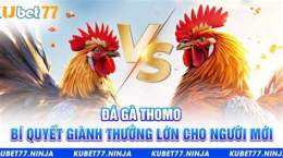 hướng dẫn sử dụng thomo đá gà sinh đôi