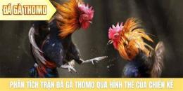 hướng dẫn sử dụng thomo đá gà trận 54