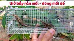 hướng dẫn sử dụng thử đặt bẫy rắn | nỗi da gà với con rắn này
