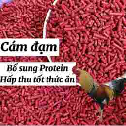 hướng dẫn sử dụng thức an cho gà đá mau mập