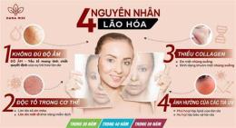 hướng dẫn sử dụng thực phẩm gây đầy hơi