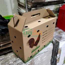 hướng dẫn sử dụng thùng carton đựng gà đá