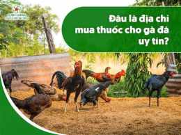 hướng dẫn sử dụng thuoc me cho ga da
