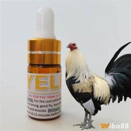 hướng dẫn sử dụng thuốc nhỏ gà đá nam nguyễn