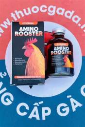 hướng dẫn sử dụng thuốc nuôi gà đá amino complex