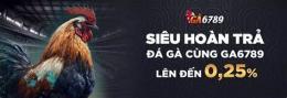 hướng dẫn sử dụng top nhà cái đá gà online uy tín