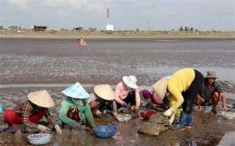 hướng dẫn sử dụng trai ga da go cong tien giang