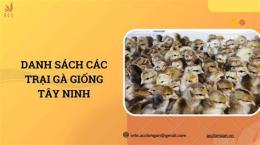 hướng dẫn sử dụng trại gà đá tây ninh