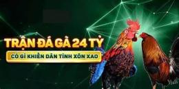 hướng dẫn sử dụng trận đá gà 24 tỷ của phúc bình dương