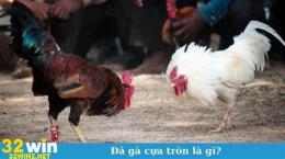 hướng dẫn sử dụng trang đá gà cựa tròn