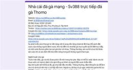 hướng dẫn sử dụng trang nhà cái đá gà thomo