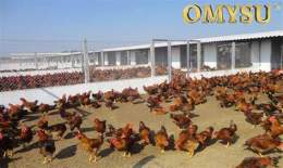 hướng dẫn sử dụng trang trai ga da o my
