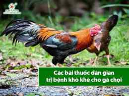 hướng dẫn sử dụng tri benh kho khe cho ga da